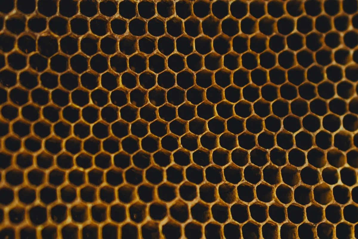 Représentation scientifique des processus de production d'énergie cellulaire et du stress oxydatif dans les mitochondrie