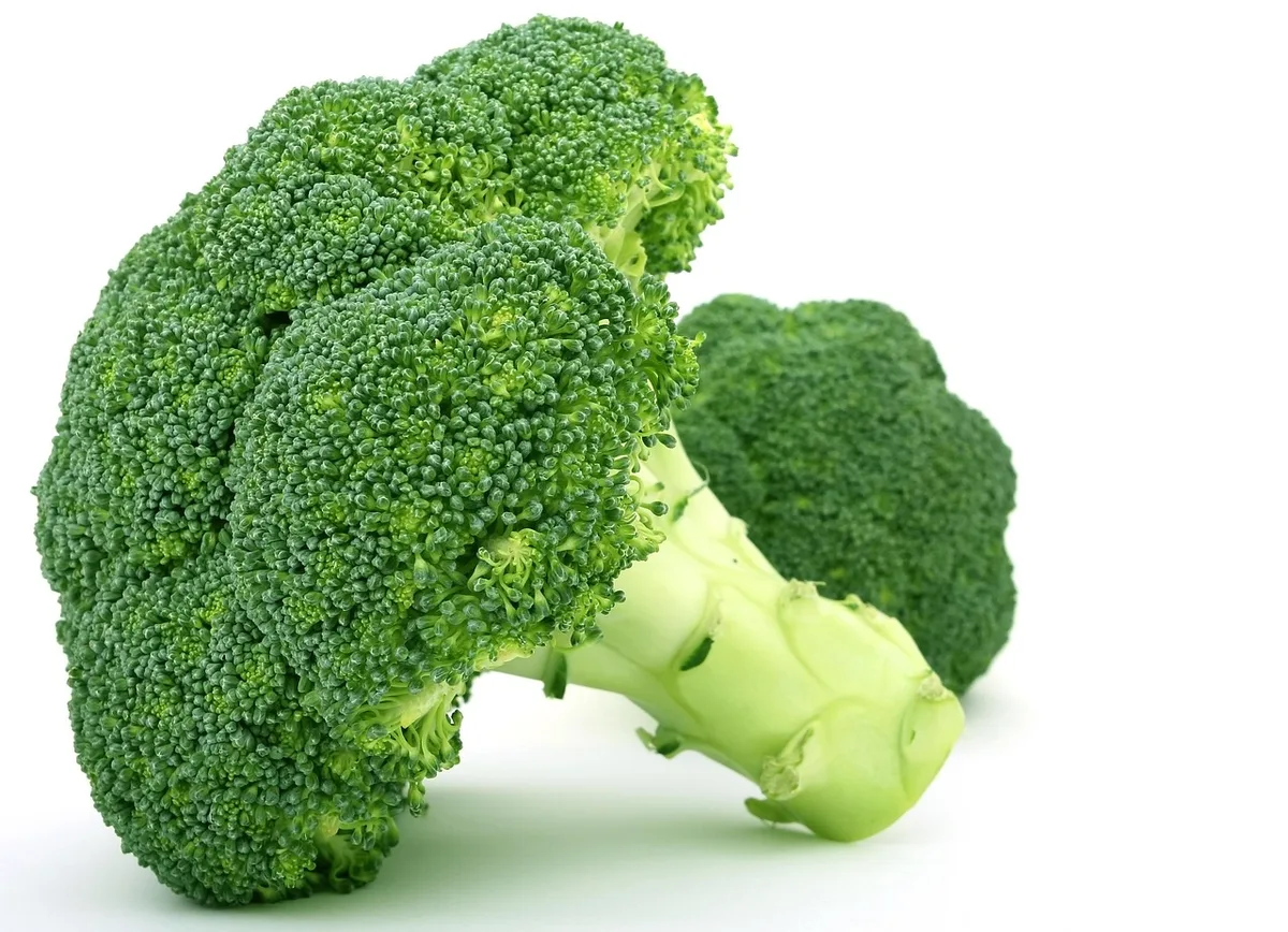 Variété de légumes, fruits et aliments riches en fibres pour soutenir le microbiote intestinal.