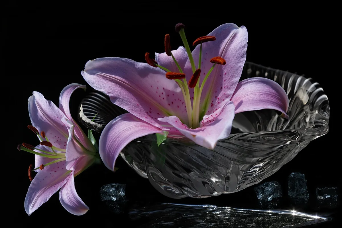 Petit verre de kéfir artisanal posé sur une table avec cuillère