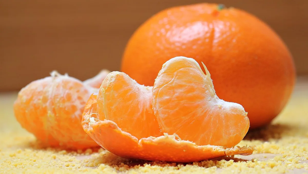 Sélection d'aliments riches en vitamine B6 : saumon, pommes de terre, légumineuses et bananes