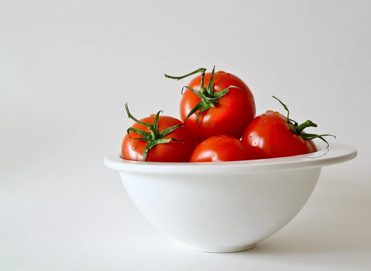 Assiette colorée d'un repas d'enfant avec légumes et protéines