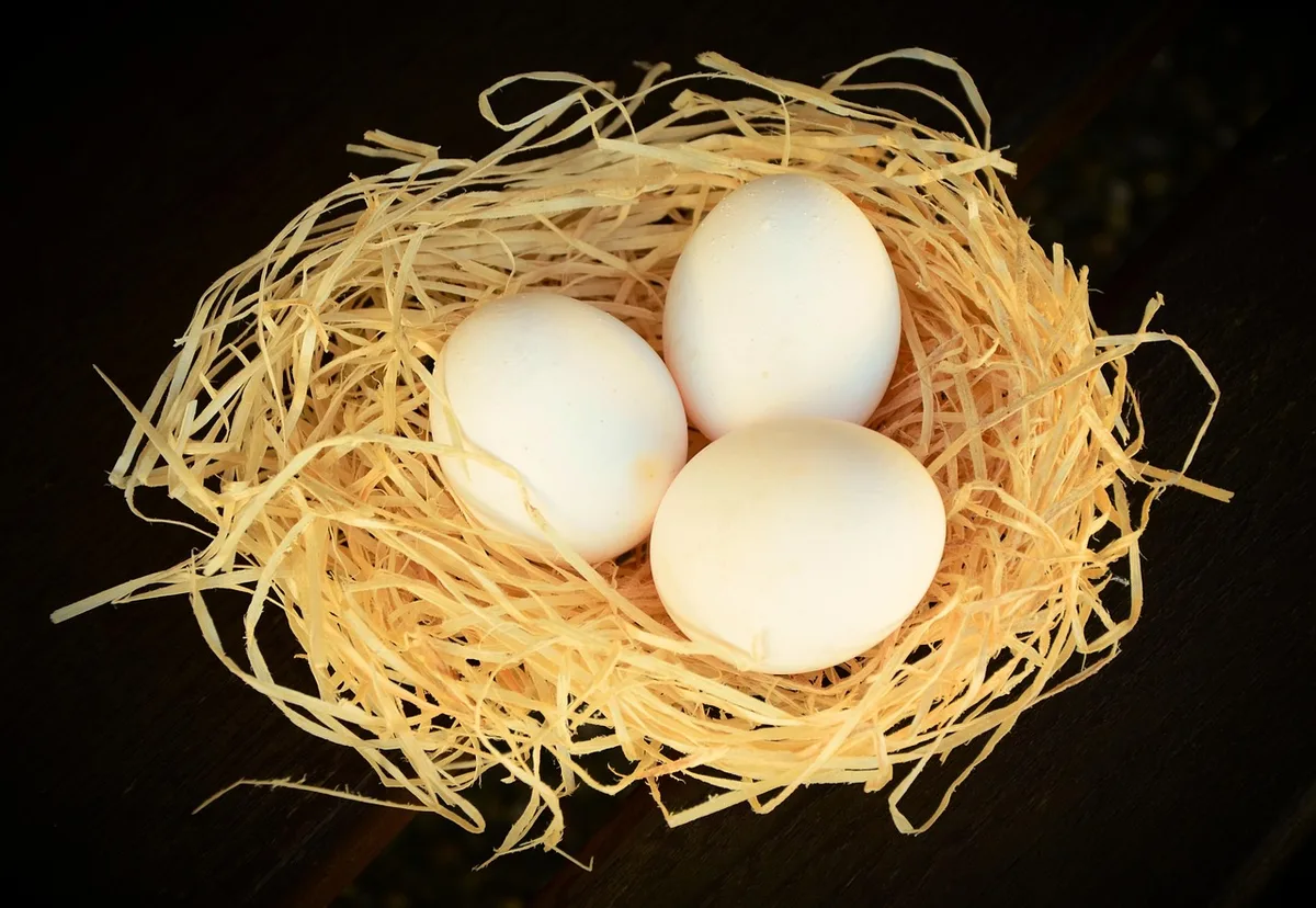 Assortiment d'aliments riches en tryptophane: volailles, œufs, légumineuses