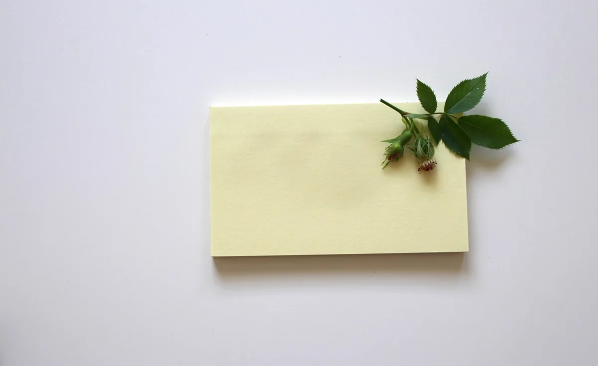 Carnet de notes et brochures sur la nutrition posés sur une table de consultation